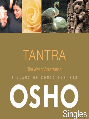 cover image of TANTRA the Way of Acceptance